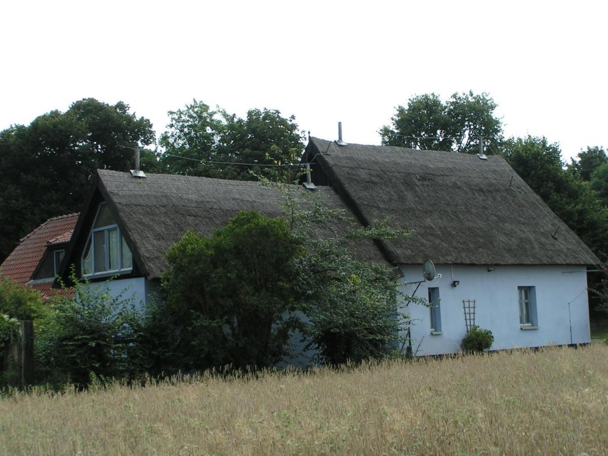 Rankwitz Zum Schwarzen Stiefel- Ferienwohnung Atelierhaus מראה חיצוני תמונה